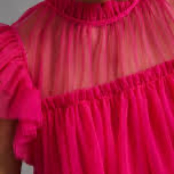 Anthropologie Sunday in Brooklyn Vibrant Pink Ruffled mesh Top - Picture 2 of 9